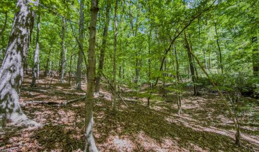 Photo #6 of Off Sunset Dr., Asheboro, NC 29.9 acres