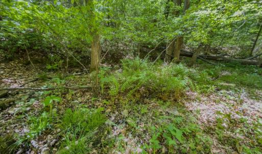 Photo #7 of Off Sunset Dr., Asheboro, NC 29.9 acres