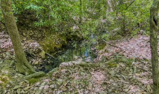 Photo #8 of Off Sunset Dr., Asheboro, NC 29.9 acres