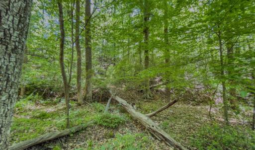 Photo #9 of Off Sunset Dr., Asheboro, NC 29.9 acres