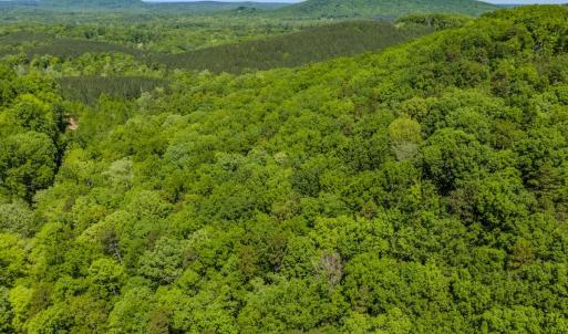 Photo #23 of Off Sunset Dr., Asheboro, NC 29.9 acres