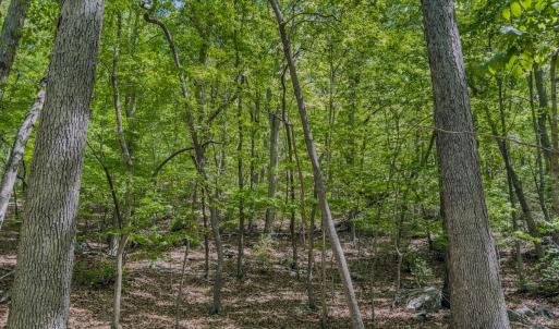 Photo #29 of Off Sunset Dr., Asheboro, NC 29.9 acres