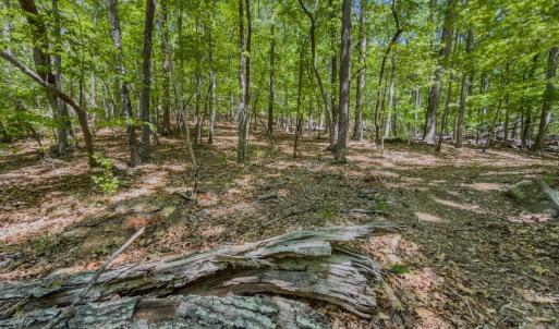 Photo #30 of Off Sunset Dr., Asheboro, NC 29.9 acres