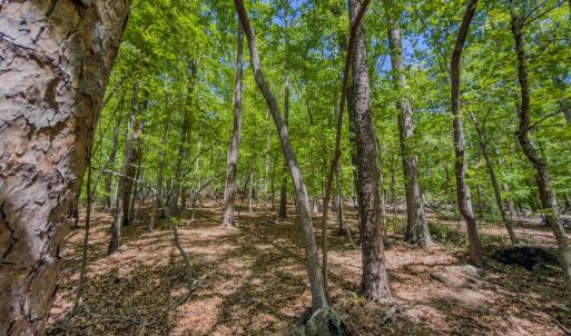 Photo #31 of Off Sunset Dr., Asheboro, NC 29.9 acres