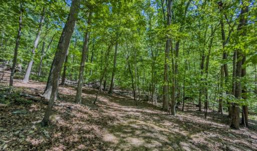 Photo #32 of Off Sunset Dr., Asheboro, NC 29.9 acres