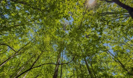 Photo #33 of Off Sunset Dr., Asheboro, NC 29.9 acres