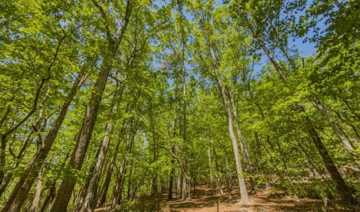 Photo #35 of Off Sunset Dr., Asheboro, NC 29.9 acres