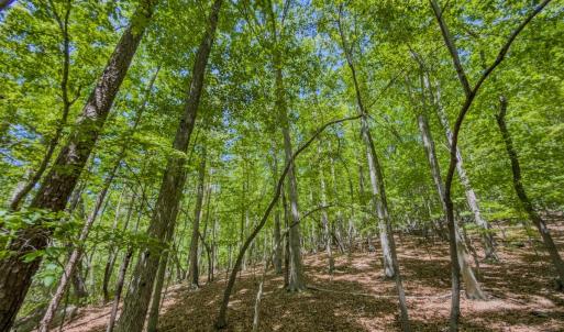 Photo #47 of Off Sunset Dr., Asheboro, NC 29.9 acres