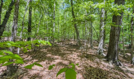 Photo #48 of Off Sunset Dr., Asheboro, NC 29.9 acres