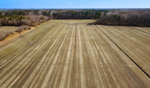 Photo #2 of Off of West Rd, Chesapeake, VA 118.0 acres