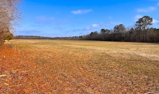 Photo #6 of Off of West Rd, Chesapeake, VA 118.0 acres