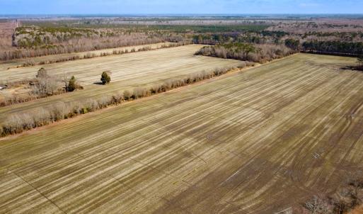 Photo #13 of Off of West Rd, Chesapeake, VA 118.0 acres