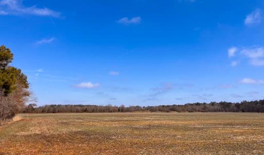 Photo #14 of Off of West Rd, Chesapeake, VA 118.0 acres