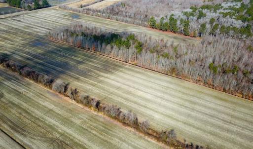 Photo #17 of Off of West Rd, Chesapeake, VA 118.0 acres