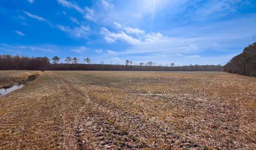 Photo #23 of Off of West Rd, Chesapeake, VA 118.0 acres