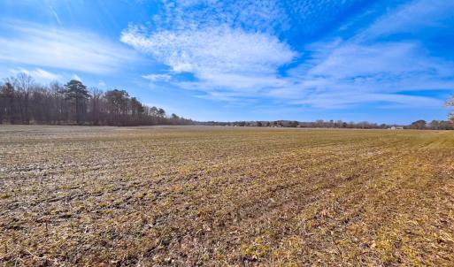 Photo #25 of Off of West Rd, Chesapeake, VA 118.0 acres