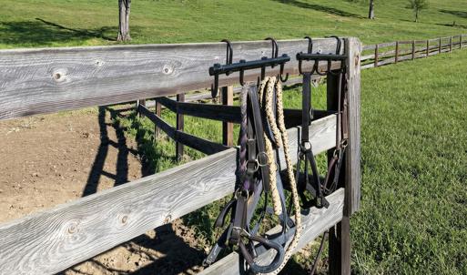 Photo #54 of 2727 Lower Moncure Rd, Sanford, NC 52.0 acres