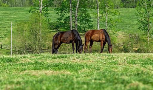 Photo #55 of 2727 Lower Moncure Rd, Sanford, NC 52.0 acres