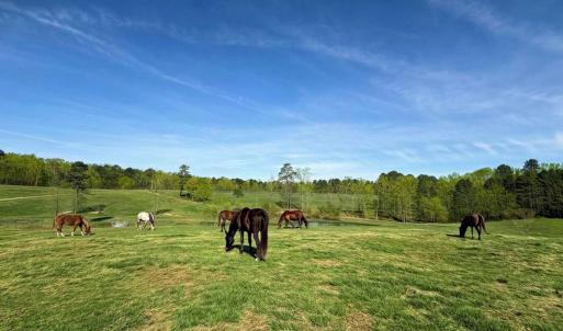 Photo #56 of 2727 Lower Moncure Rd, Sanford, NC 52.0 acres