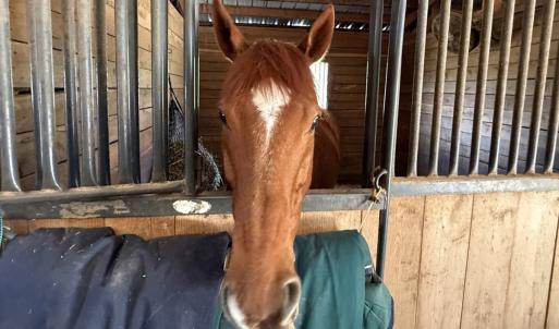 Photo #76 of 2727 Lower Moncure Rd, Sanford, NC 52.0 acres