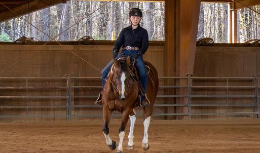 Photo #82 of 2727 Lower Moncure Rd, Sanford, NC 52.0 acres