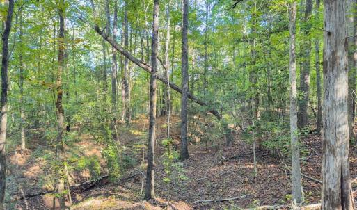 Photo #11 of Off of NC Hwy 731 E, Candor, NC 173.2 acres