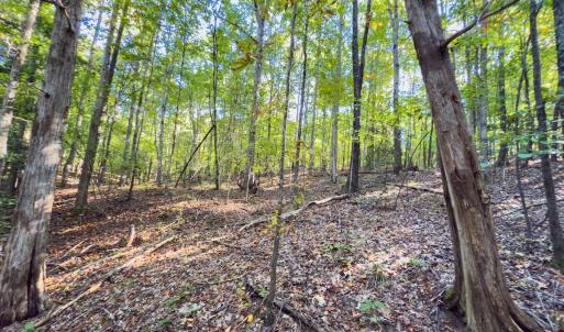 Photo #12 of Off of NC Hwy 731 E, Candor, NC 173.2 acres