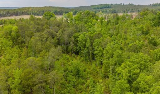 Photo #13 of Off of NC Hwy 731 E, Candor, NC 173.2 acres