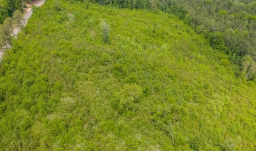 Photo #14 of Off of NC Hwy 731 E, Candor, NC 173.2 acres