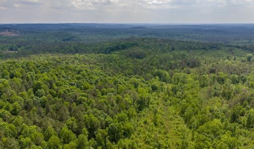 Photo #15 of Off of NC Hwy 731 E, Candor, NC 173.2 acres