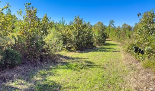 Photo #1 of Off of NC Hwy 731 E, Candor, NC 173.2 acres