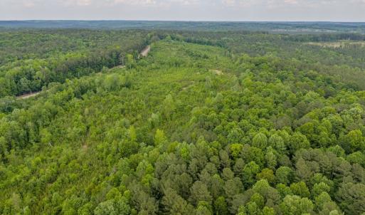 Photo #2 of Off of NC Hwy 731 E, Candor, NC 173.2 acres