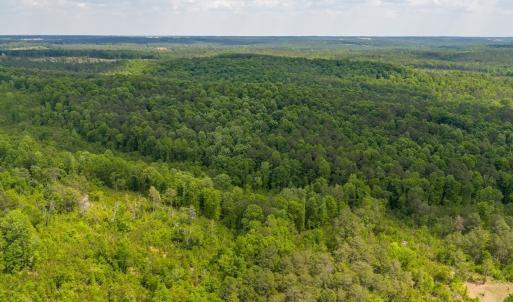 Photo #20 of Off of NC Hwy 731 E, Candor, NC 173.2 acres