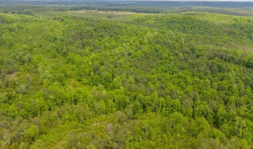 Photo #22 of Off of NC Hwy 731 E, Candor, NC 173.2 acres