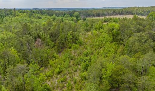 Photo #23 of Off of NC Hwy 731 E, Candor, NC 173.2 acres