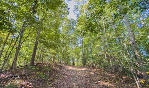 Photo #24 of Off of NC Hwy 731 E, Candor, NC 173.2 acres