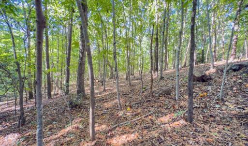 Photo #25 of Off of NC Hwy 731 E, Candor, NC 173.2 acres