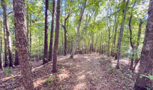 Photo #27 of Off of NC Hwy 731 E, Candor, NC 173.2 acres