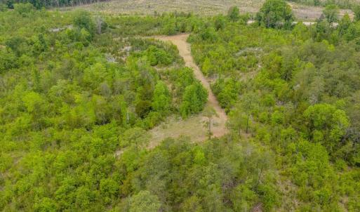 Photo #28 of Off of NC Hwy 731 E, Candor, NC 173.2 acres