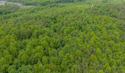 Photo #29 of Off of NC Hwy 731 E, Candor, NC 173.2 acres