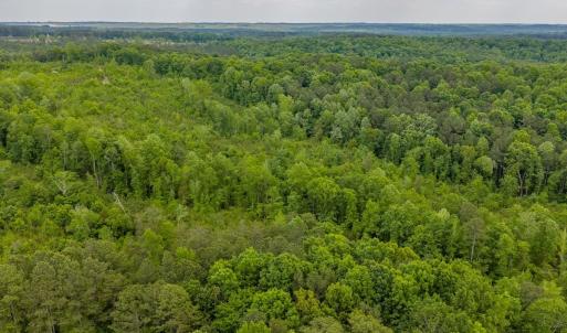 Photo #3 of Off of NC Hwy 731 E, Candor, NC 173.2 acres