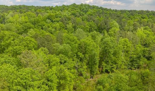 Photo #31 of Off of NC Hwy 731 E, Candor, NC 173.2 acres