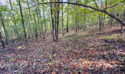 Photo #32 of Off of NC Hwy 731 E, Candor, NC 173.2 acres