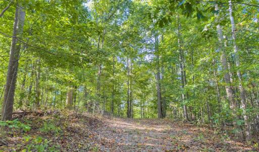 Photo #34 of Off of NC Hwy 731 E, Candor, NC 173.2 acres