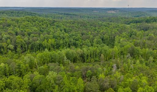 Photo #36 of Off of NC Hwy 731 E, Candor, NC 173.2 acres