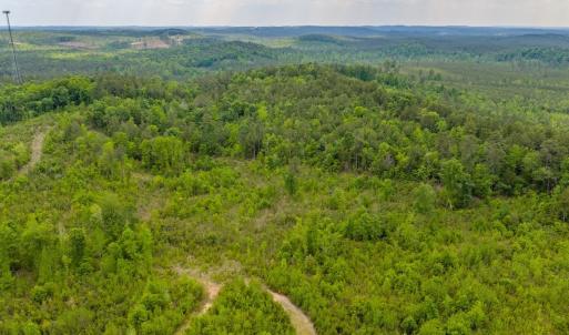 Photo #39 of Off of NC Hwy 731 E, Candor, NC 173.2 acres