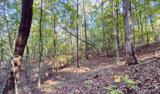 Photo #40 of Off of NC Hwy 731 E, Candor, NC 173.2 acres