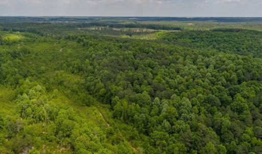 Photo #6 of Off of NC Hwy 731 E, Candor, NC 173.2 acres