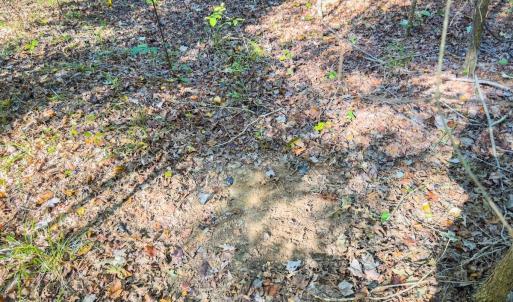 Photo #41 of Off of NC Hwy 731 E, Candor, NC 173.2 acres