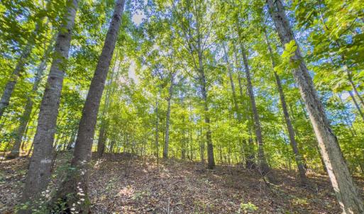 Photo #42 of Off of NC Hwy 731 E, Candor, NC 173.2 acres